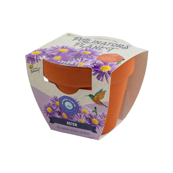 Aster Pollinator Classic Terra Cotta