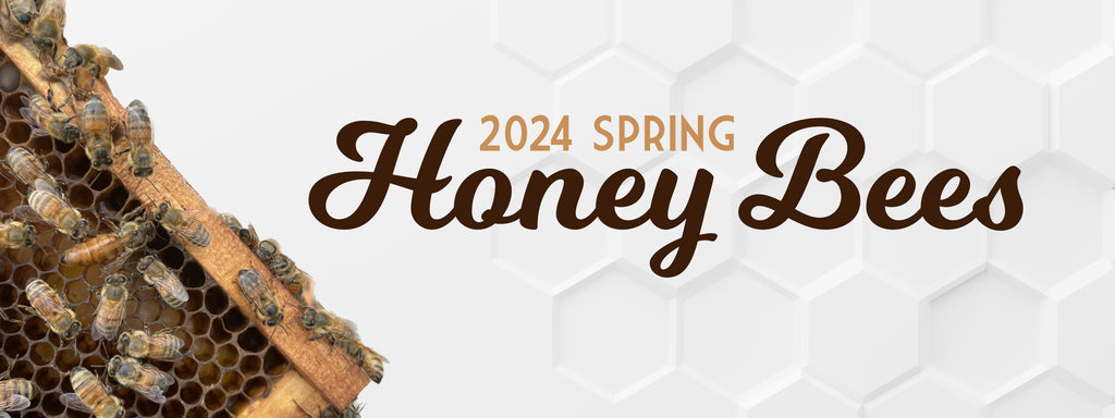 Swarm Commander (Gel, Spray, 5pk vial or Superlure) – The Honey