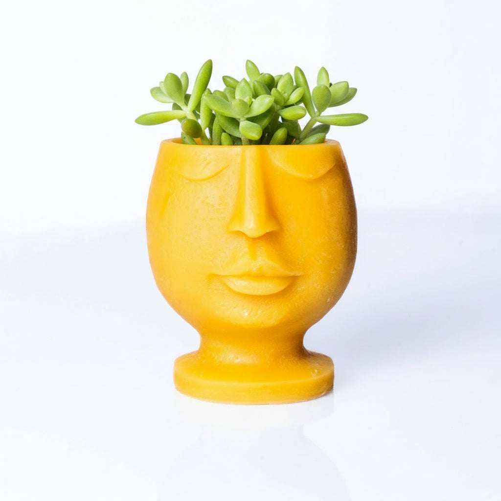 Head Planter - 100% Kansas City Beeswax
