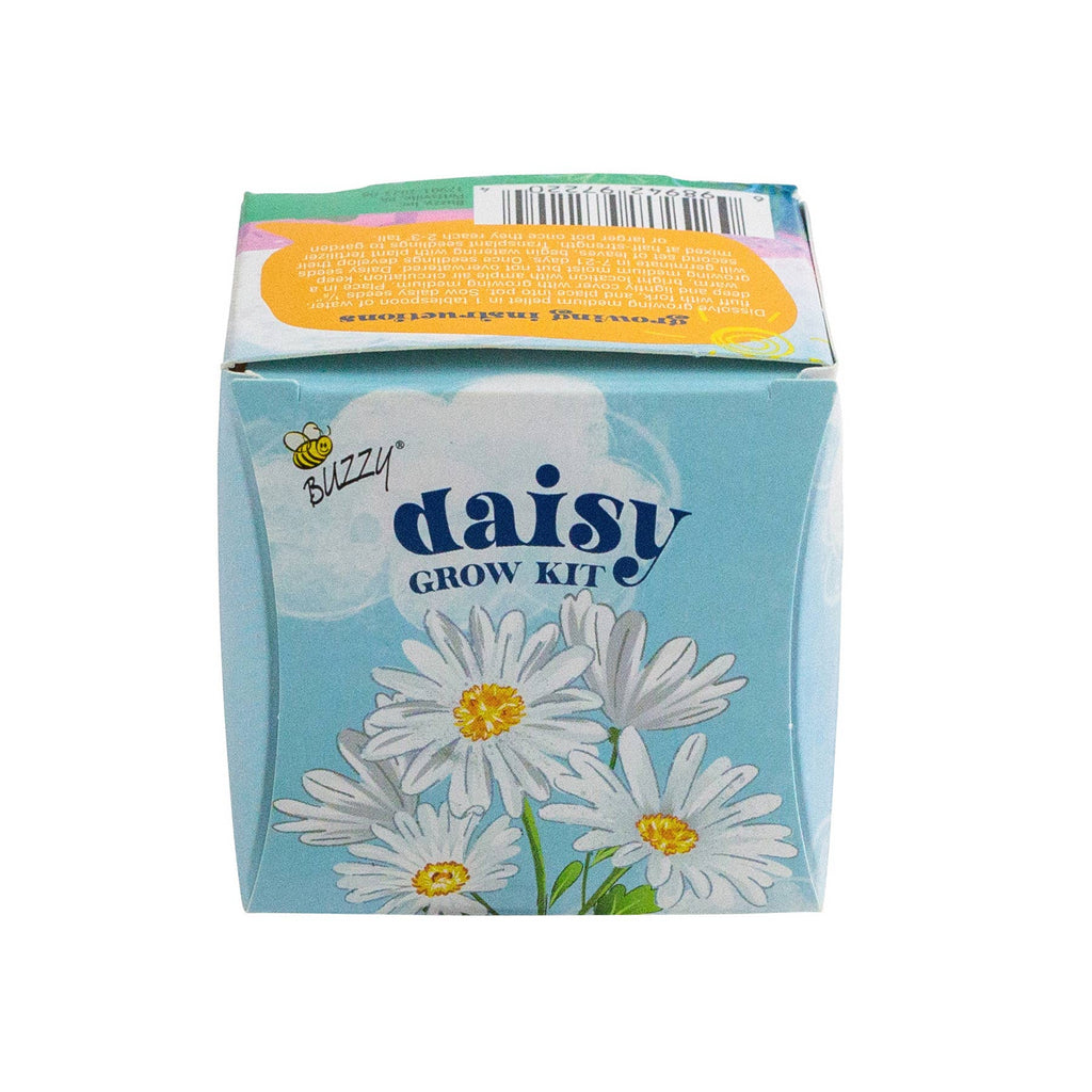 planting daisy seeds in pots Kids Mini Grow Pot - Daisy